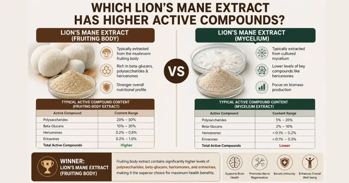 Which lion's mane extract has higher active compounds Which lion's mane extract has higher active compounds