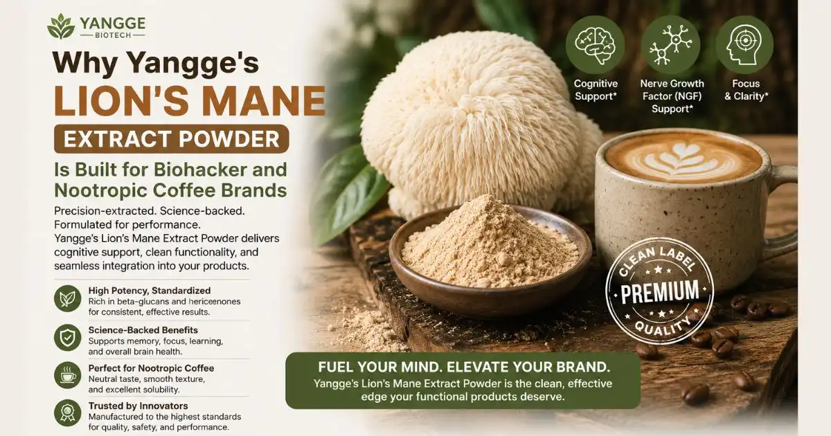 Why Yangge's Lion's Mane Extract Powder Is Built for Biohacker and Nootropic Coffee Brands Why Yangge's Lion's Mane Extract Powder Is Built for Biohacker and Nootropic Coffee Brands