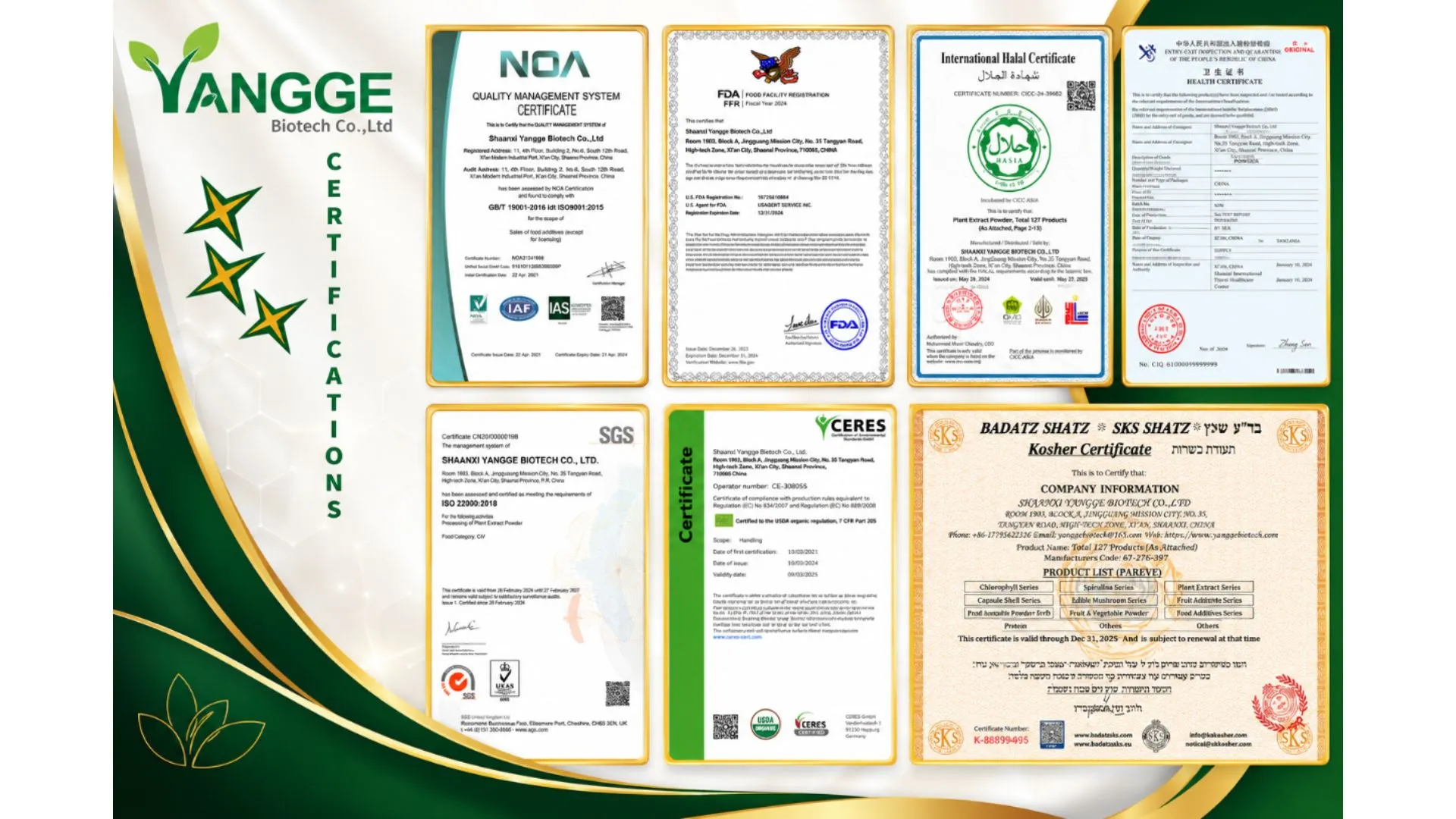 Gardenia Green Colorant supplier Yangge Biotech Gardenia Green Colorant supplier Yangge Biotech