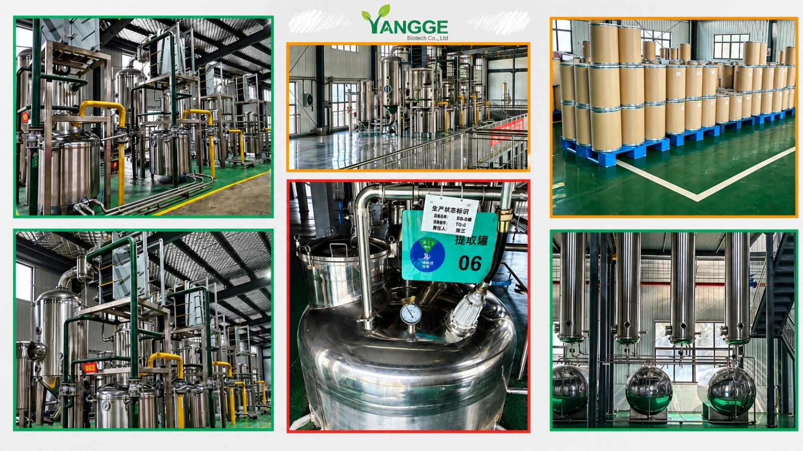 Yangge Biotech Factory Yangge Biotech Factory