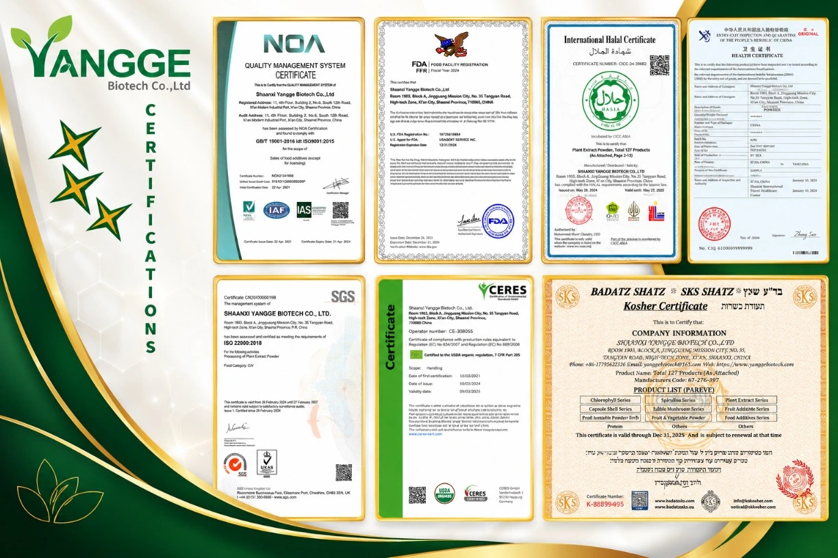 yangge biotech certificate yangge biotech certificate