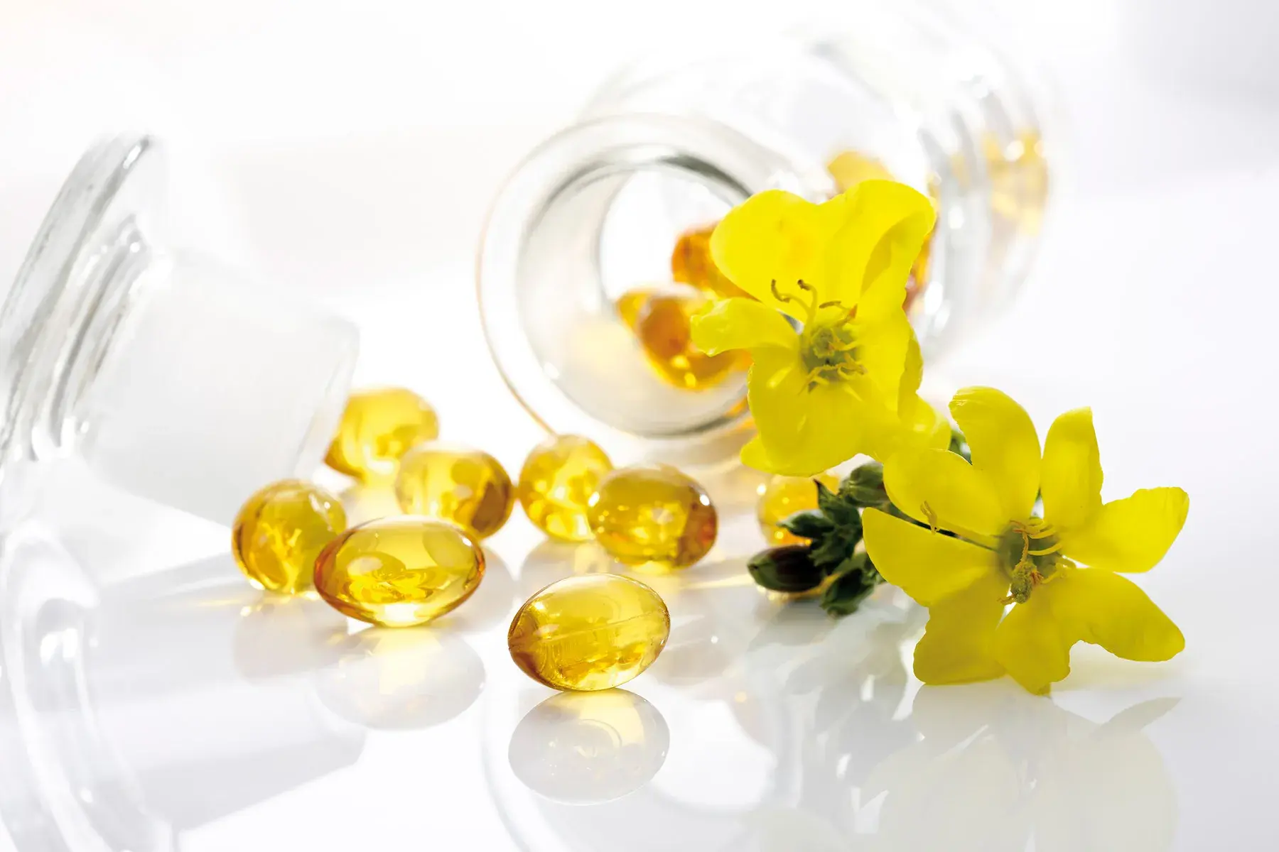 Evening Primrose Oil supplier Evening Primrose Oil supplier