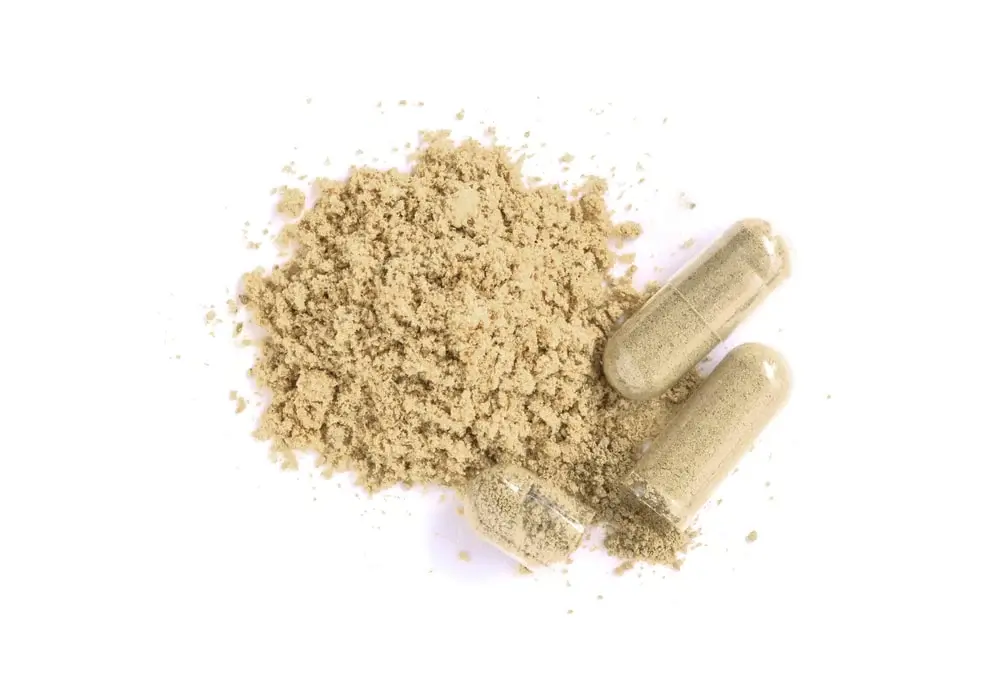 Yangge biotech Sea Moss Powder supplier 