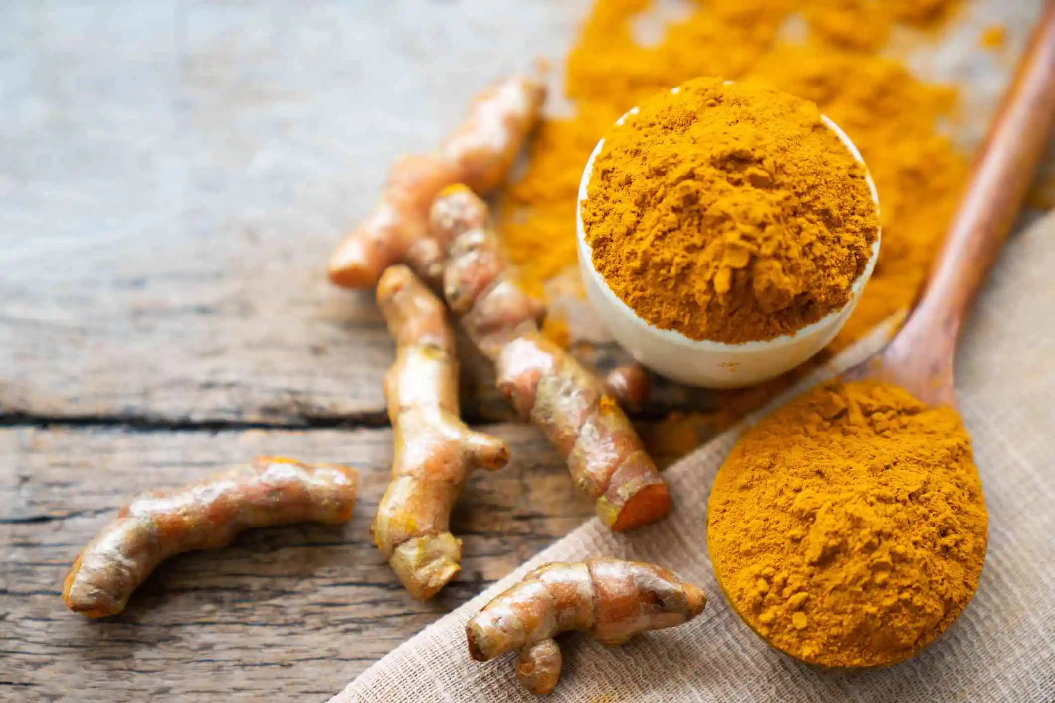 Turmeric Root Extract supplier