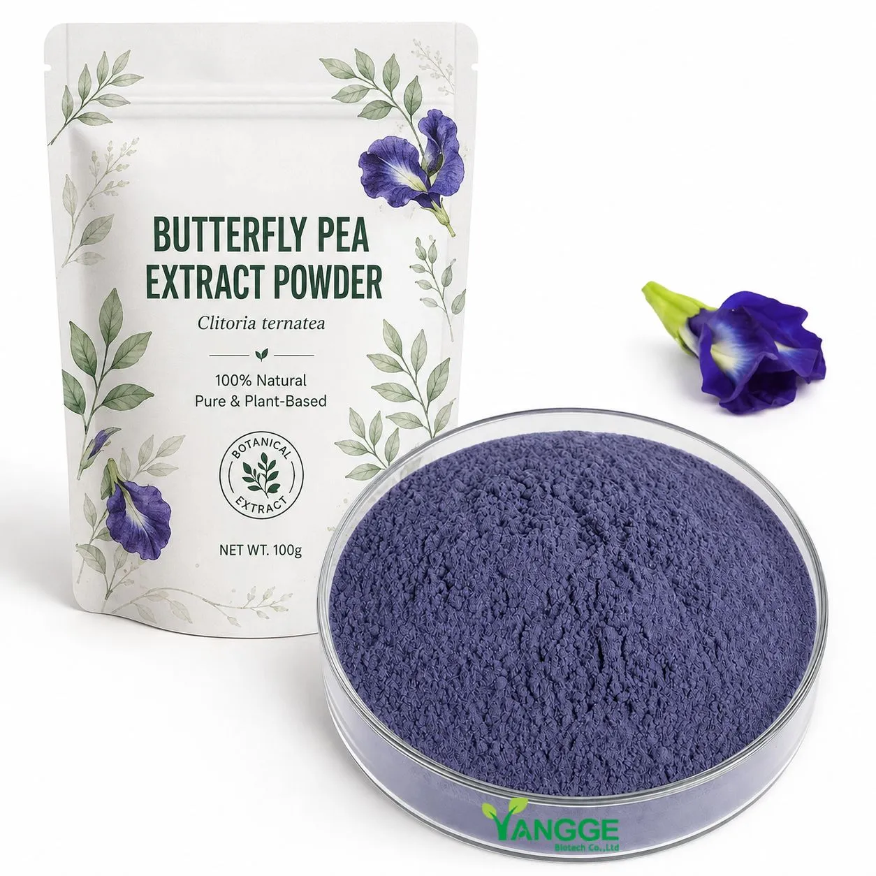 Butterfly Pea Flower Extract