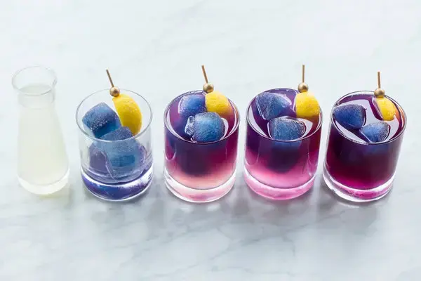 Blue Butterfly Pea Flower Extract benefits