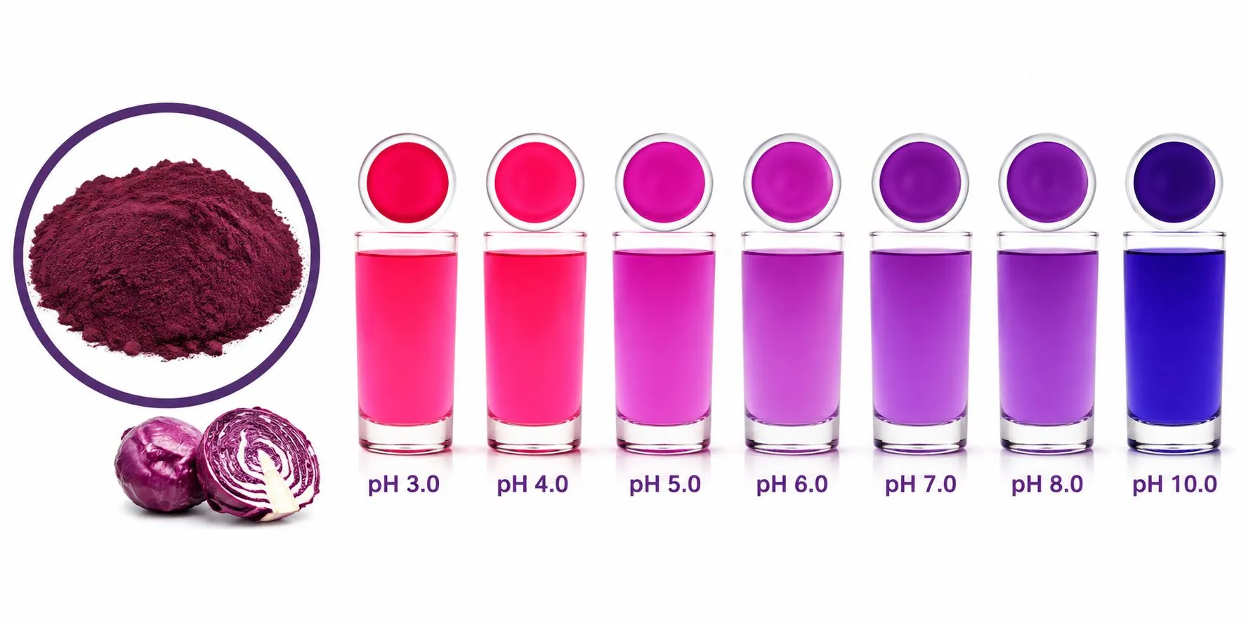 product-1-1 product-1-1