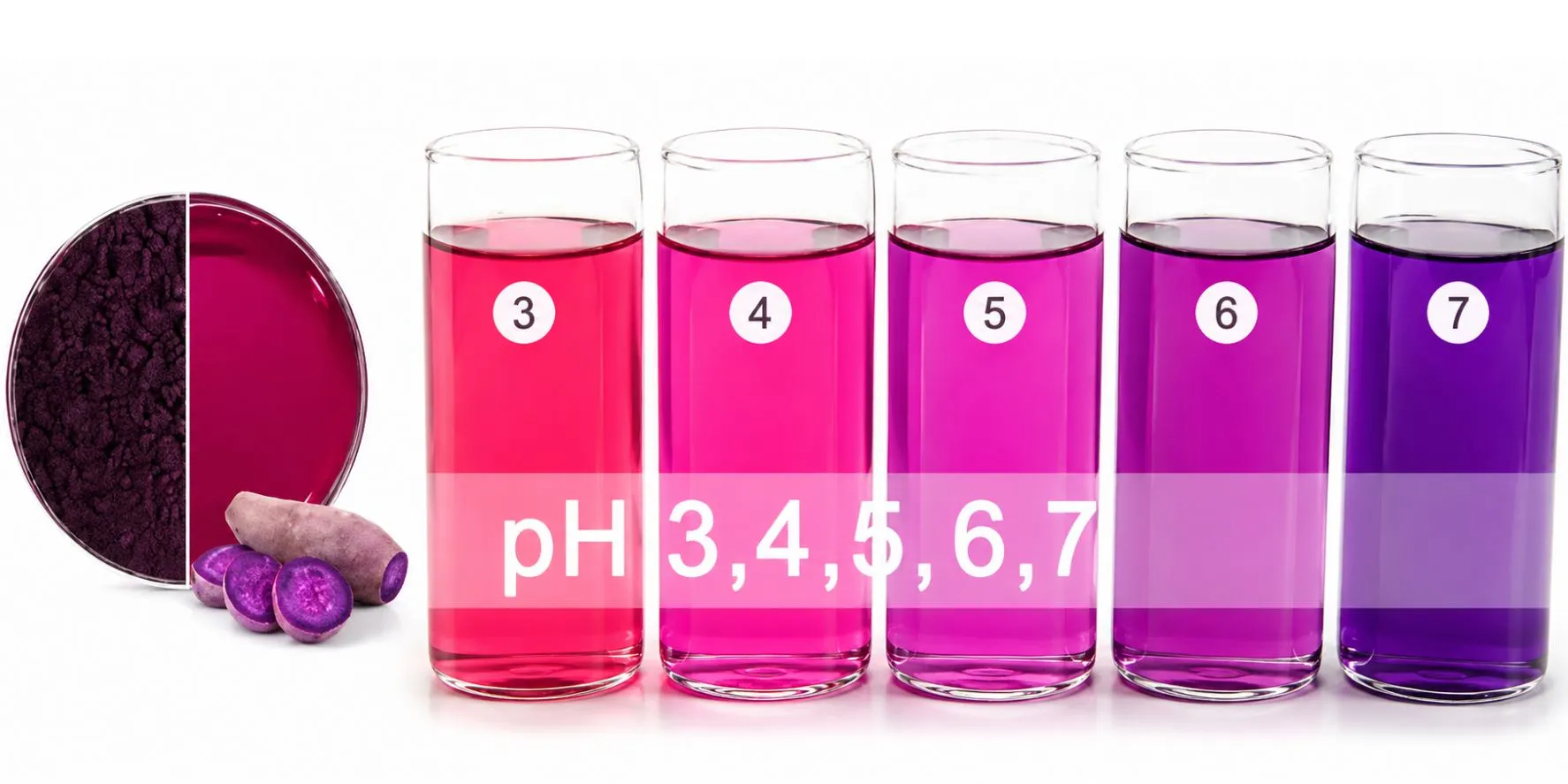 product-1-1 product-1-1