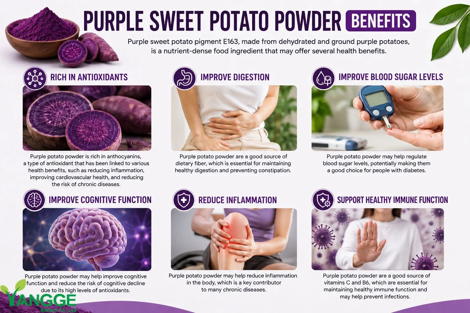 Purple sweet potato powder E163 benefits