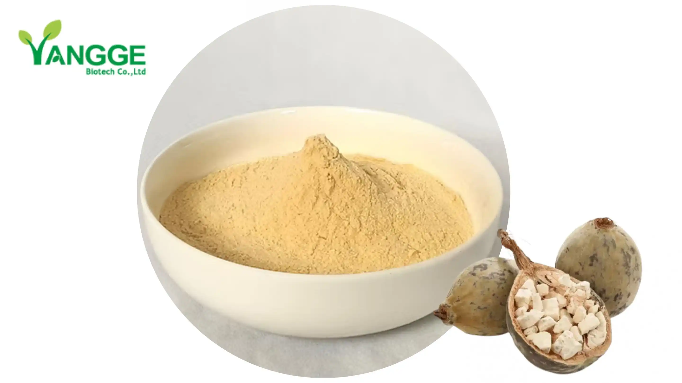 polvere di baobab sfusa