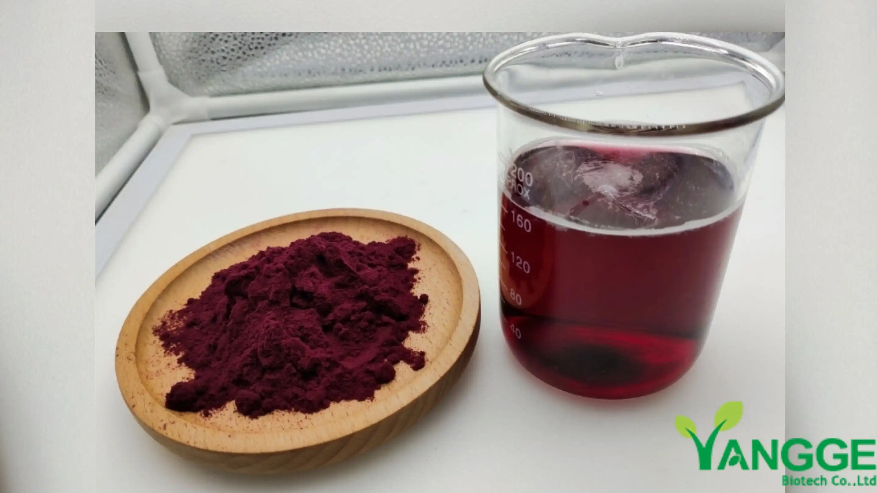 Black Carrot Juice Powder manufacturer
