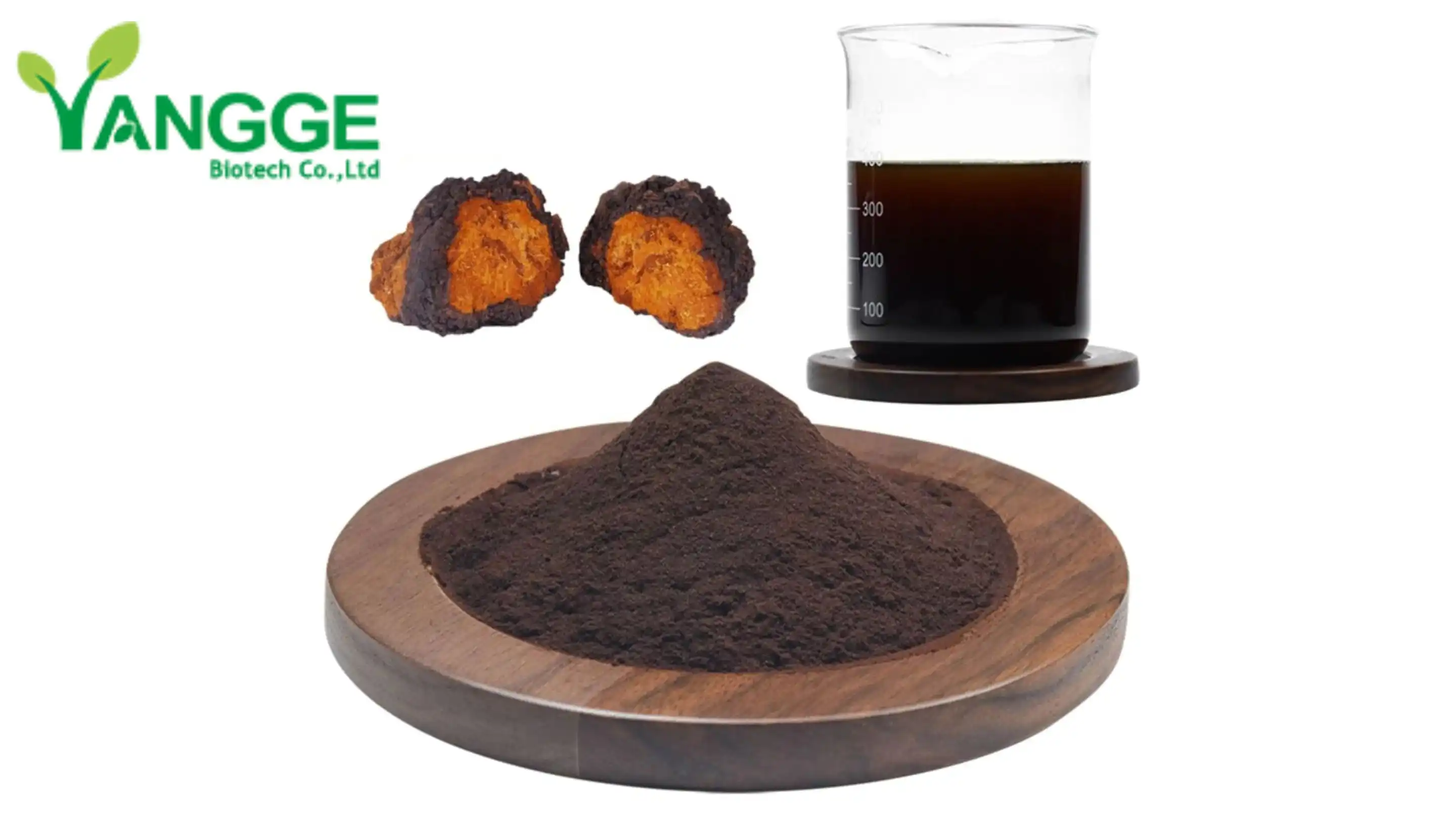 Sliocht mícéiliam Chaga