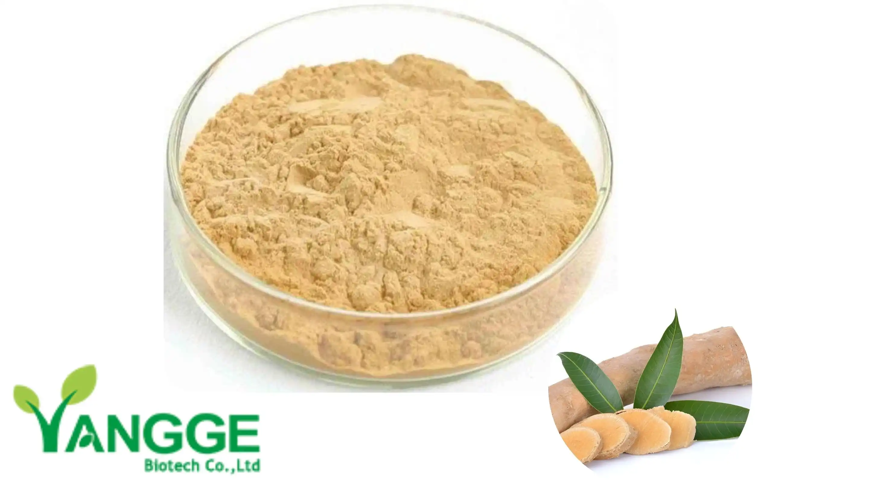 Tongkat ali púdar Tongkat ali púdar