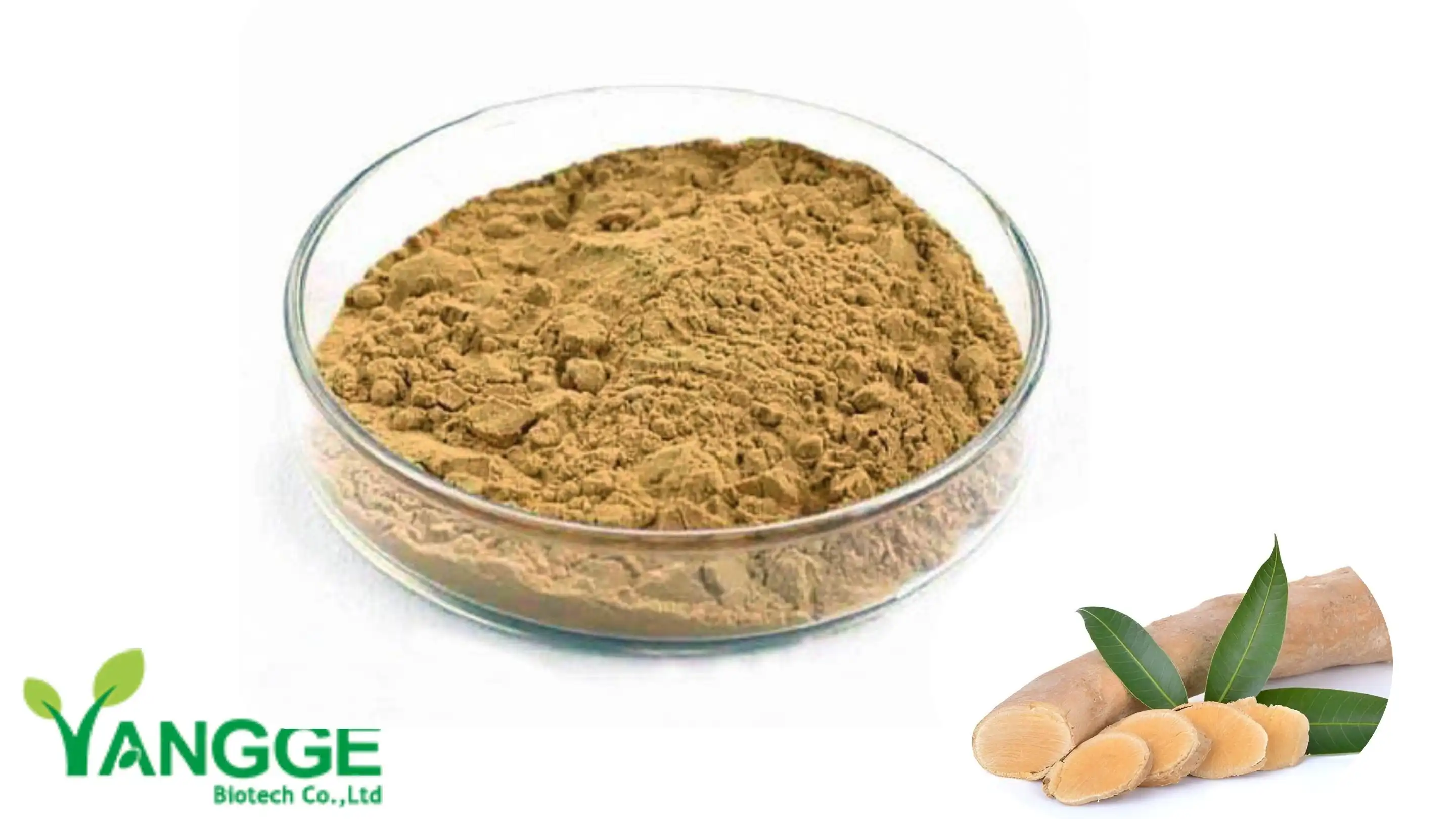 púdar sliocht Tongkat ali