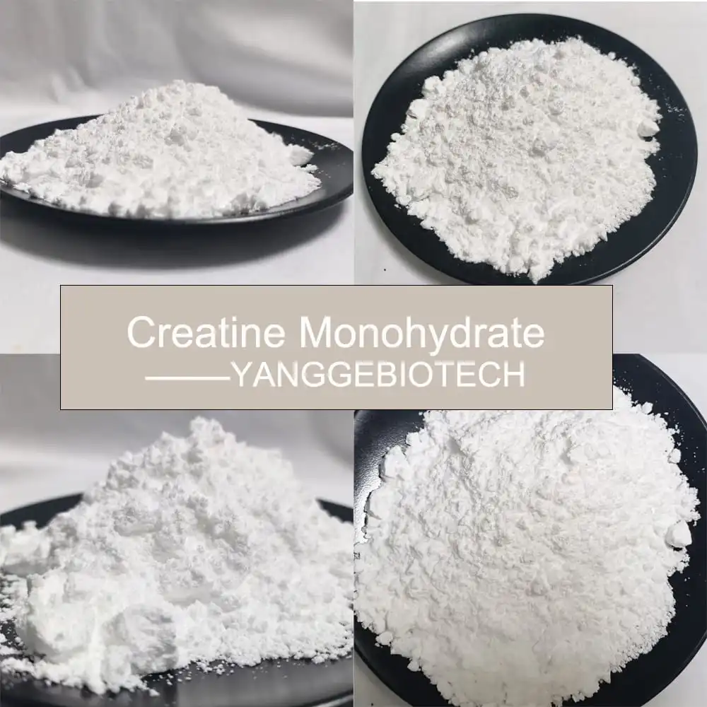 Creatine Monohydrate