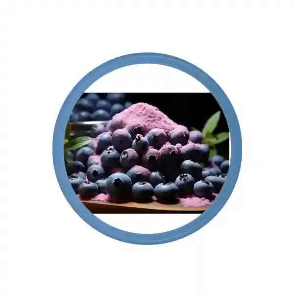 Üzvi Blueberry Pudra Toplu
