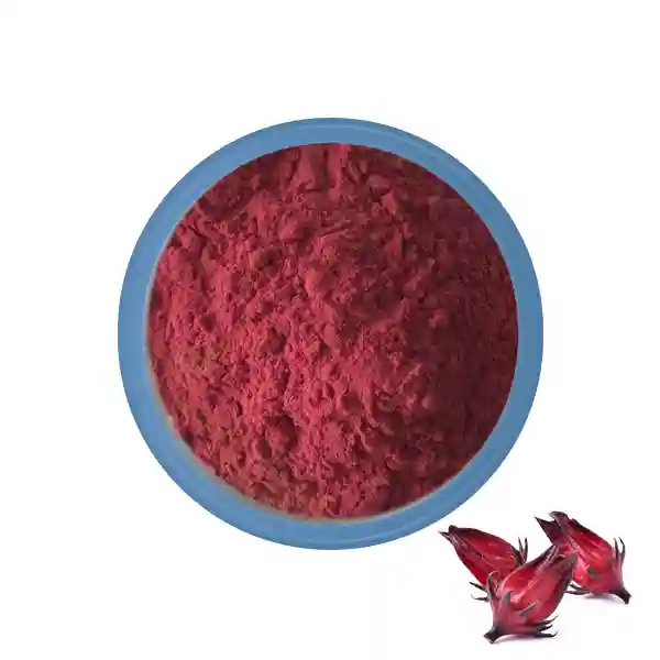 Poudre d'extrait de Roselle