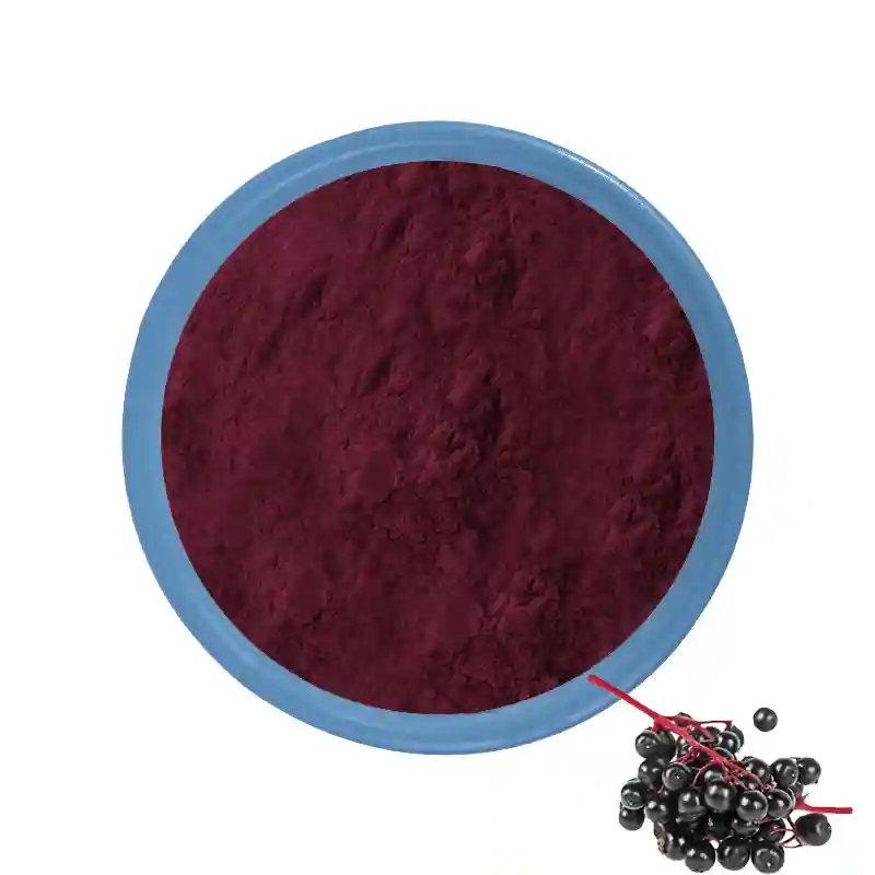 Ən yaxşı Üzvi Elderberry Ekstraktı