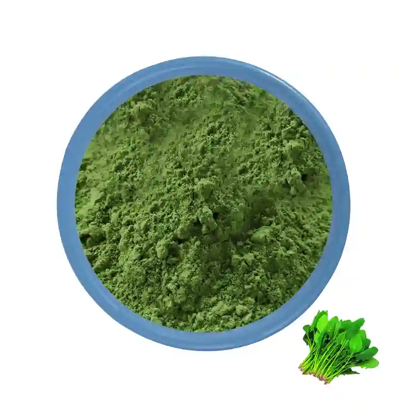 Poudre de jus d'épinards biologiques