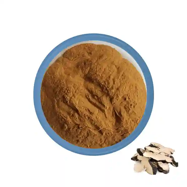 Extrait de Polyporus Umbellatus biologique