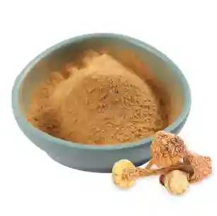 Extrait de champignon Agaricus Blazei biologique