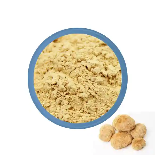 ម្សៅចំរាញ់ពី Hericium Erinaceus សរីរាង្គ