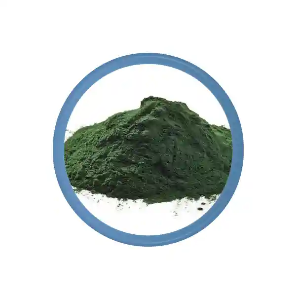 Poudre de chlorelle biologique en vrac