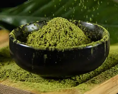 Poudre de Matcha biologique en gros