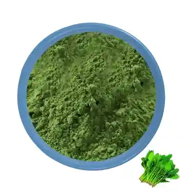 Poudre d'épinards biologiques en vrac