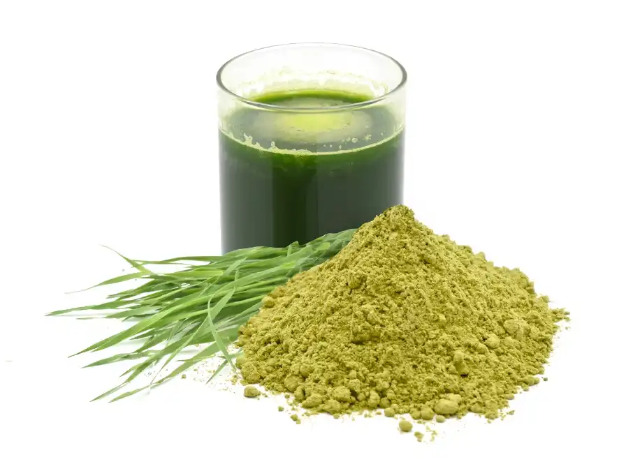 Organic Wheatgrass Powder Price