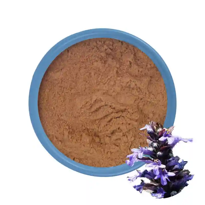 Extrait de turkestérone d'Ajuga