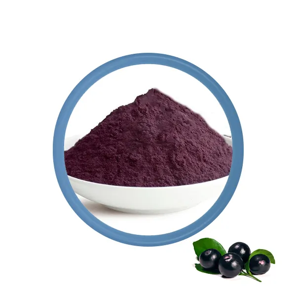 Pó de suco de açaí a granel