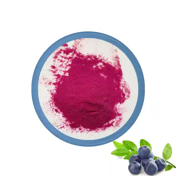 Kütləvi Yabanı Blueberry Pudrası