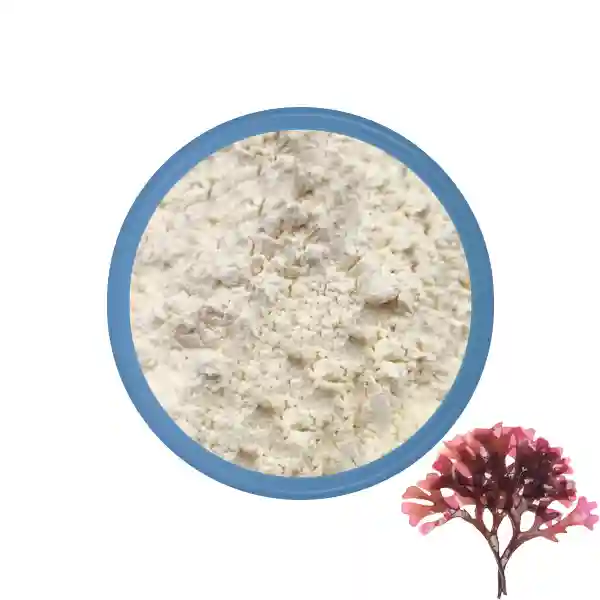 Poudre de mousse de mer irlandaise biologique en gros