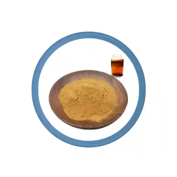 Satış üçün Kombucha üçün Scoby