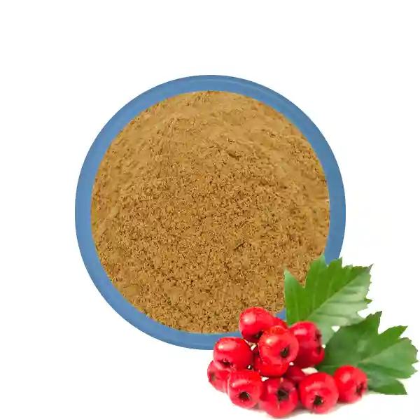 Meilleure poudre de baies d'aubépine