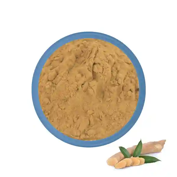 Poudre de Tongkat Ali (longjack)