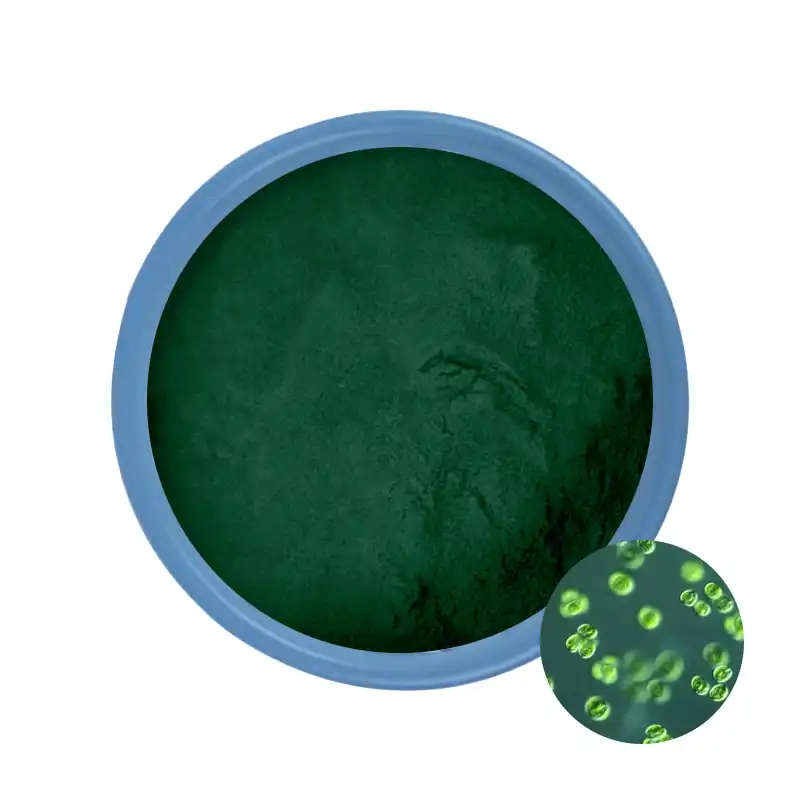 Chlorella Pudra