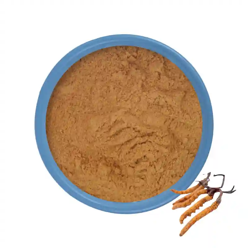 Extrait de Cordyceps vs poudre